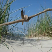 Treibholz Manufaktur