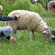 Heinz-Sielmann-Stiftung, Natur-Erlebniszentrum