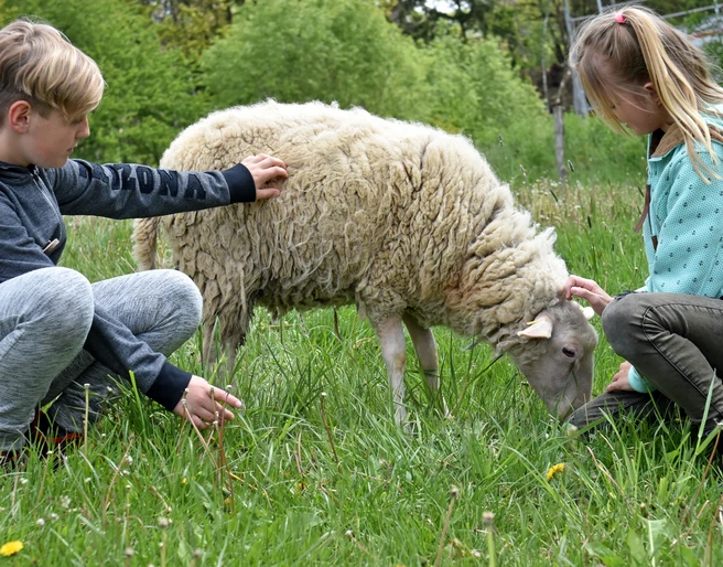 Heinz-Sielmann-Stiftung, Natur-Erlebniszentrum