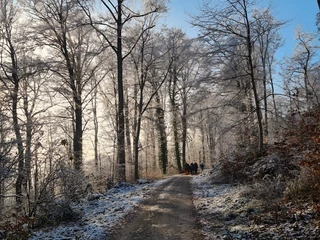 Glühweinwanderung Weg.jpg
