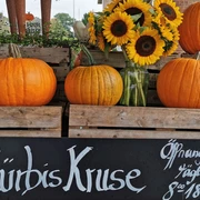 Kürbishof Kruse