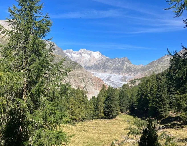 WhatsApp Image 2023-09-04 at 16.36.56