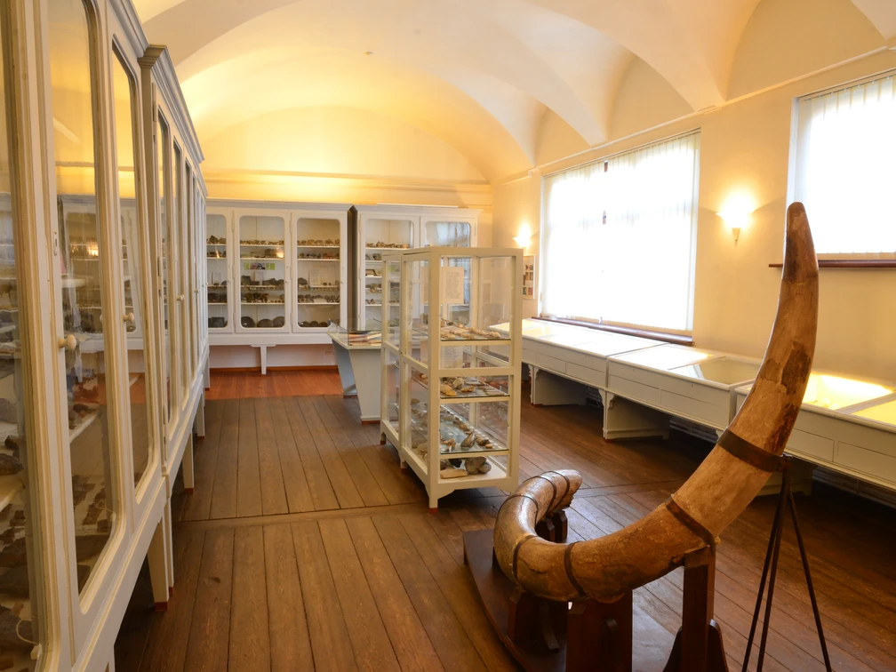 Paläontologische Sammlung Museum-Aschersleben