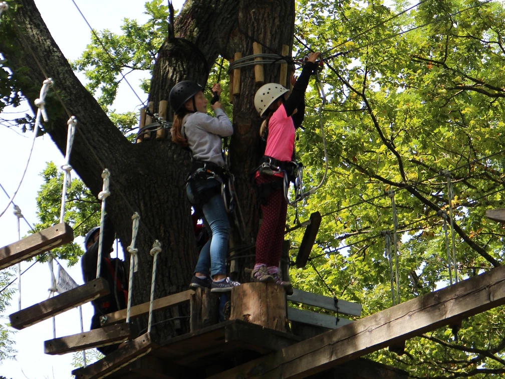 Kletterwald