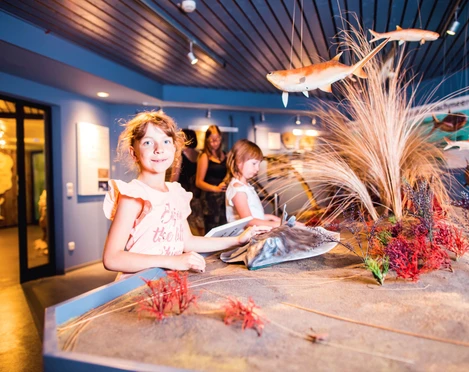 Naturzeitmuseum Meeresboden Naturzeitmuseum Meeresboden