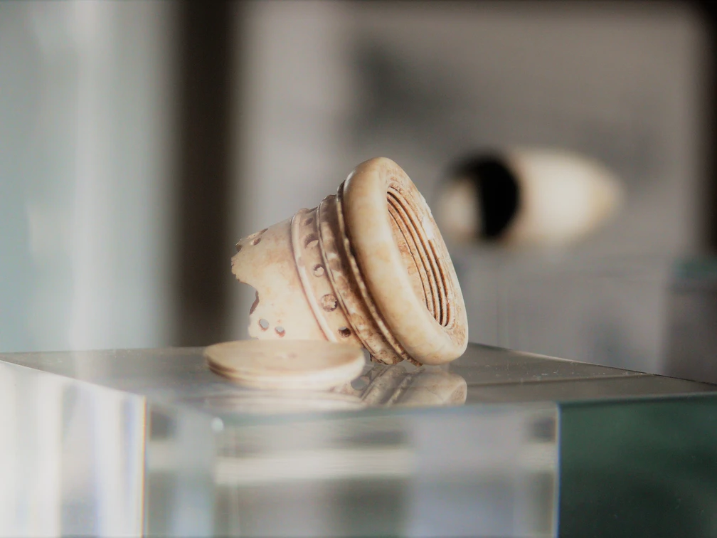 Flohfalle im Heimatmuseum Duderstadt