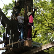 Kletterwald