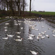Naturlandhof Schlanstedt