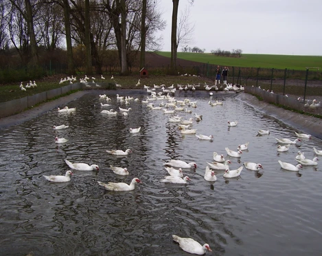 Naturlandhof Schlanstedt