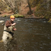 Fliegenfischen in der Bode