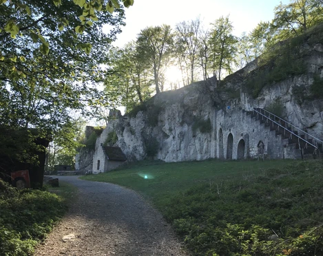 Ansicht Burgruine Scharzfels