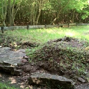 König Heinrichs Vogelherd