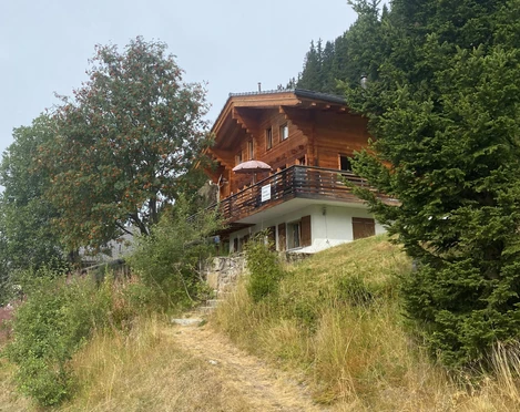 Aussenansicht Sommer