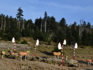 Harzer-Hexen-Stieg, Erlebnisinsel Goethebahnhof