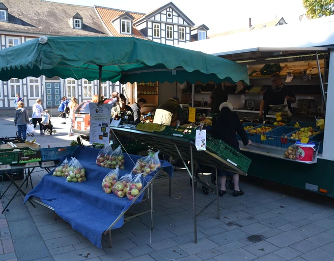 Obstplantage Carsten - Kundt Stand
