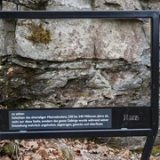 Geologische Einblicke am Harzer-Hexen-Stieg