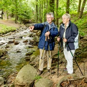 An der Ilse im Ilsetal