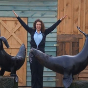Seelöwen Show