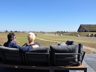 Schafstall Bargerveen