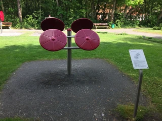 Outdoor Fitness Training im Januspark