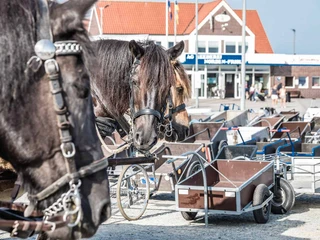 Juister Hafen - Hafen Juist Juister Hafen - Hafen Juist