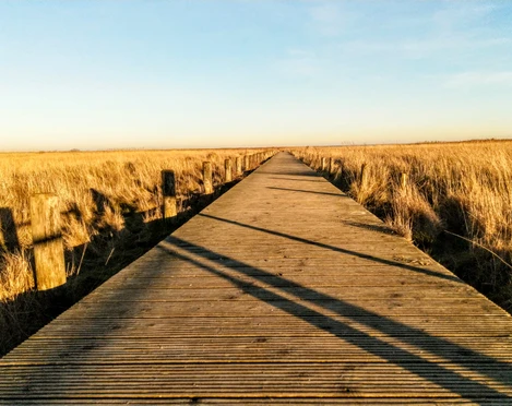 Holzsteg Wattseite
