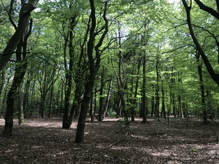 Friedrichshain in Westerland