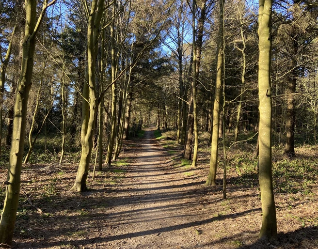 Nordwäldchen in Westerland