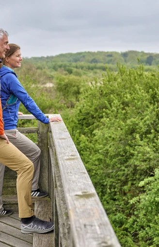 Besucherplattform Duhner Heide