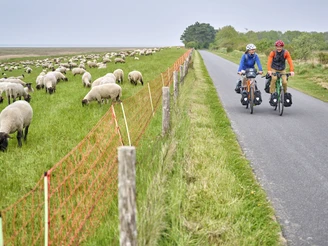 Radweg direkt am Wattenmeer zwischen Duhnen und Sahlenburg