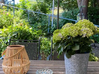 Ferienhäuser_-wohnungen Land & Leute (5).jpg