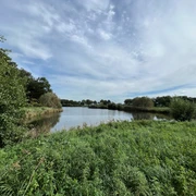 Landschaftssee Steimbke Ruhiger See bei Steimbke, umgeben von üppigem Grün und bewölktem Himmel, lädt zur Erholung ein.