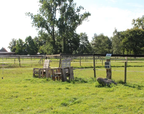 Gut Donnerstedt Eine weitläufige grüne Wiese mit Blick auf Holzbänke und ein Schild, umgeben von Bäumen und Zäunen.