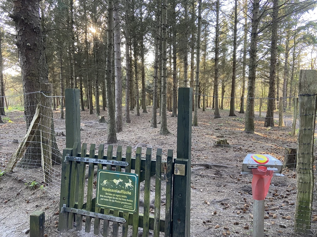 Hundeauslauffläche im Wald