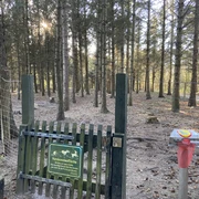Hundeauslauffläche im Wald