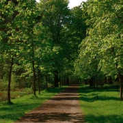 Kastanienallee Schlosspark Rastede