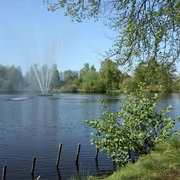 ellernteich-rastede See in idyllischer Parkanlage mit zentraler Fontäne, umgeben von Bäumen unter blauem Himmel.