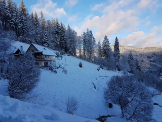 Sommerbergparadies Umgebung Haus Hoffmann