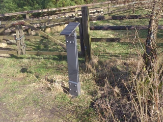 Kunststele Alexander Camaro