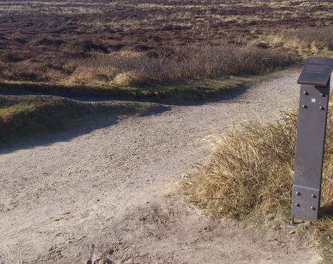 Kunststele Ernst von Salomon