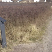 Kunststele Clara Tiedemann