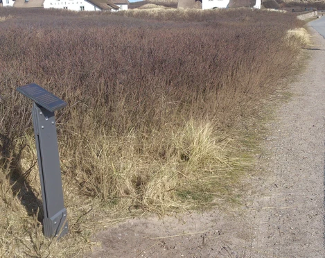 Kunststele Clara Tiedemann