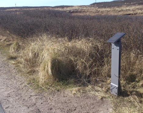 Kunststele Clara Tiedemann