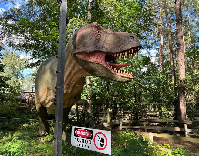 Dino-Park Münchehagen Ein lebensgroßer Dinosaurier steht hinter einem Elektrozaun in einem bewaldeten Areal im Dino-Park.
