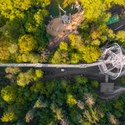 Baumwipfelpfad Harz Draufsicht