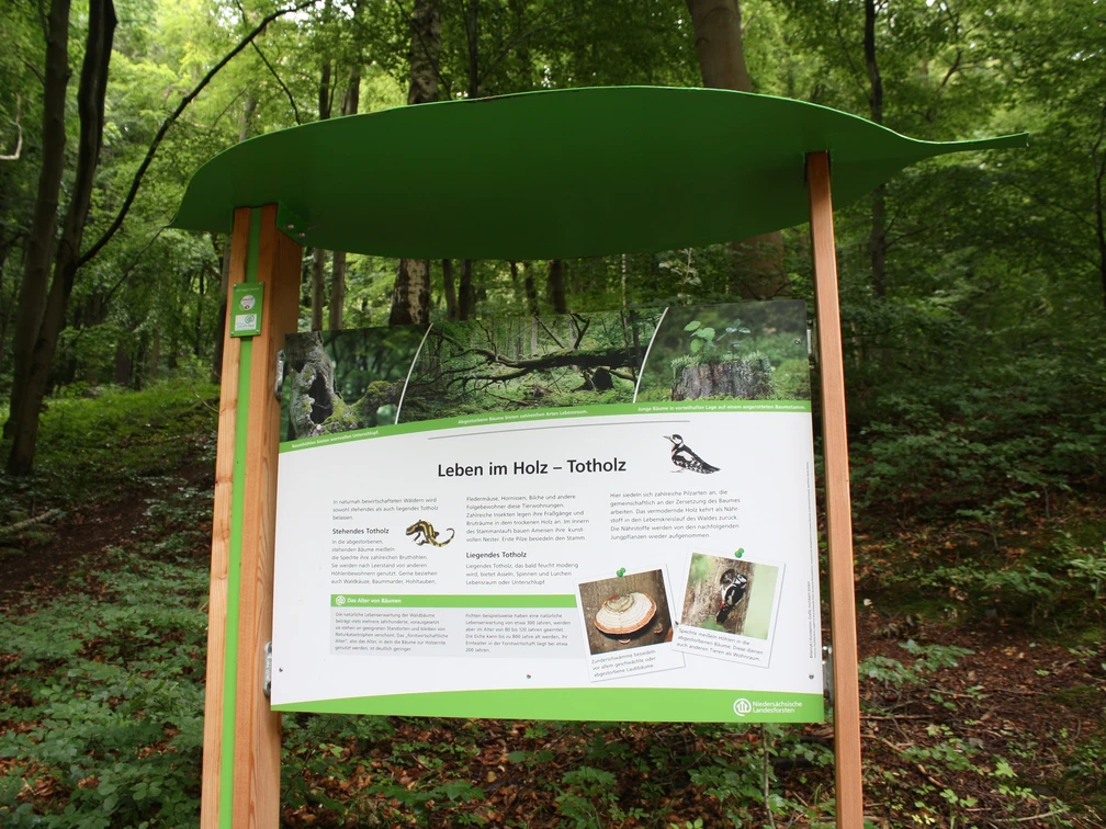 Baumwurzelpfad Infotafel