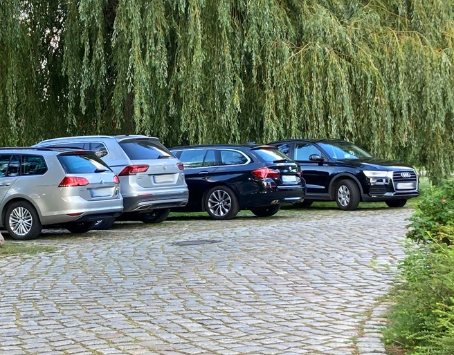 Parkplatz_Schlosswiese1_22082023_PetraRoemer.jpg Eine gepflasterte Straße führt zu den Parkmöglichkeiten. Im Hintergrund stehen Bäume