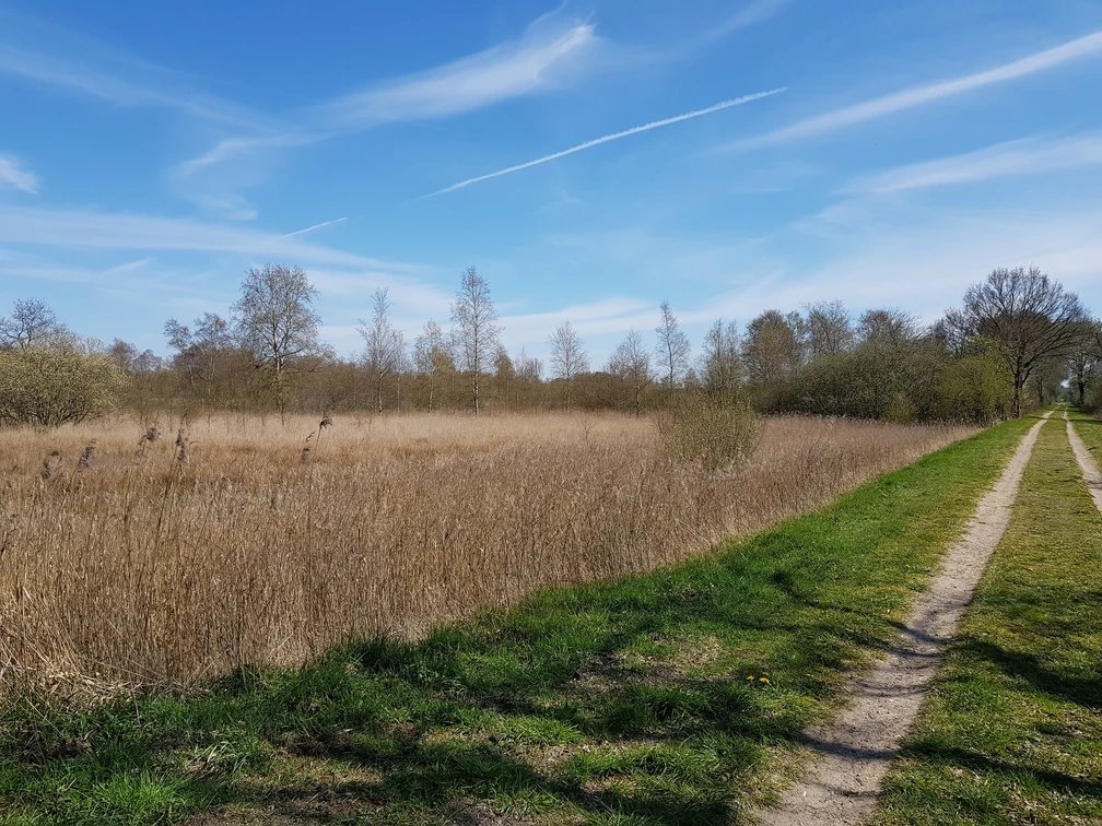 Bahndamm der ehemaligen Norderdithmarscher Kleinbahn