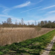 Bahndamm der ehemaligen Norderdithmarscher Kleinbahn