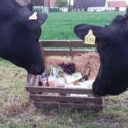 milchtankstelle-anna-schlukat